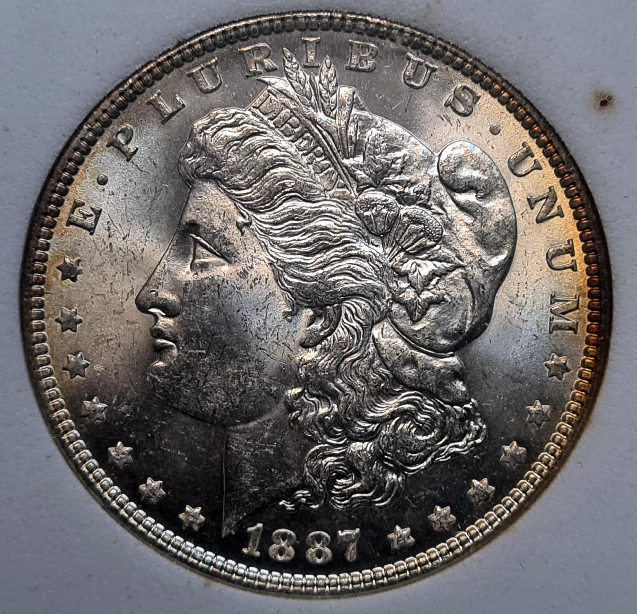 Dollar 1887 Dollar 1887 More -
