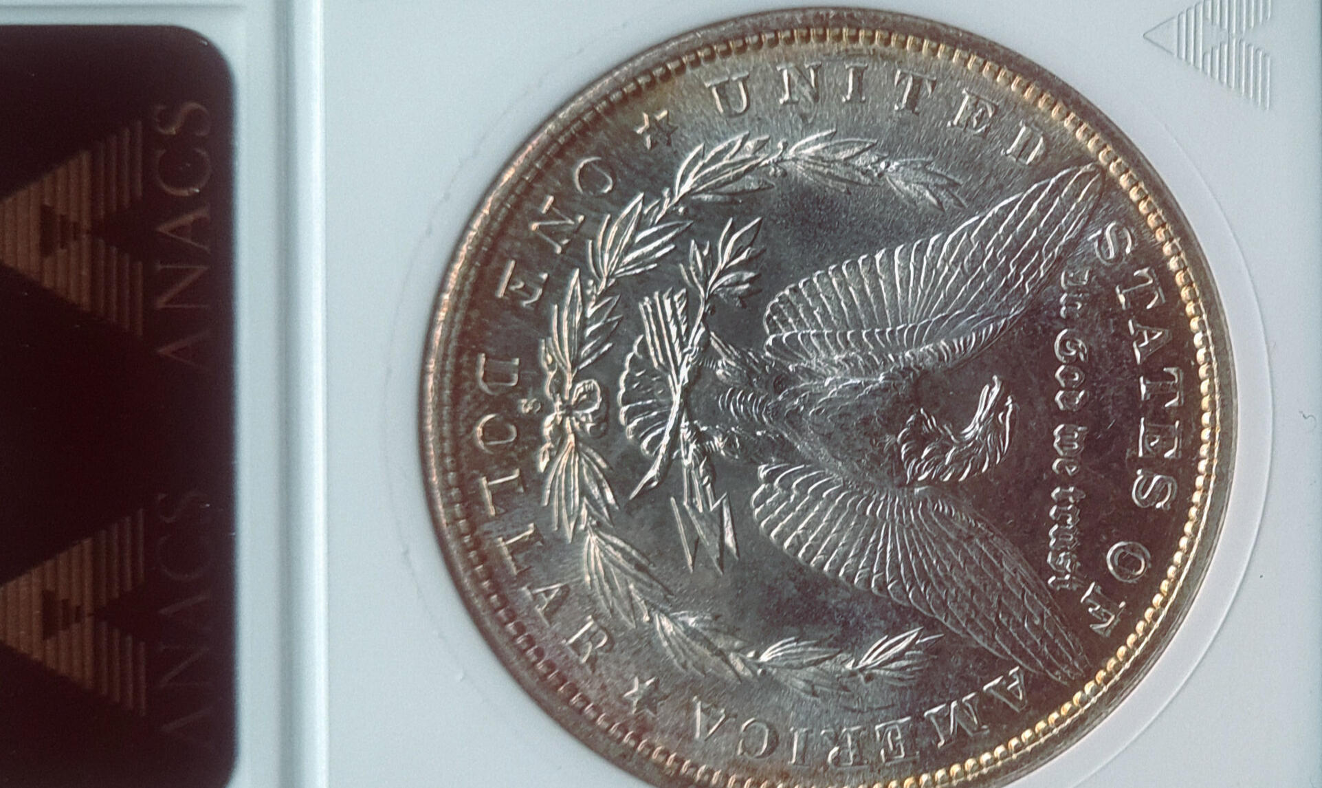Dollar 1887 More -
