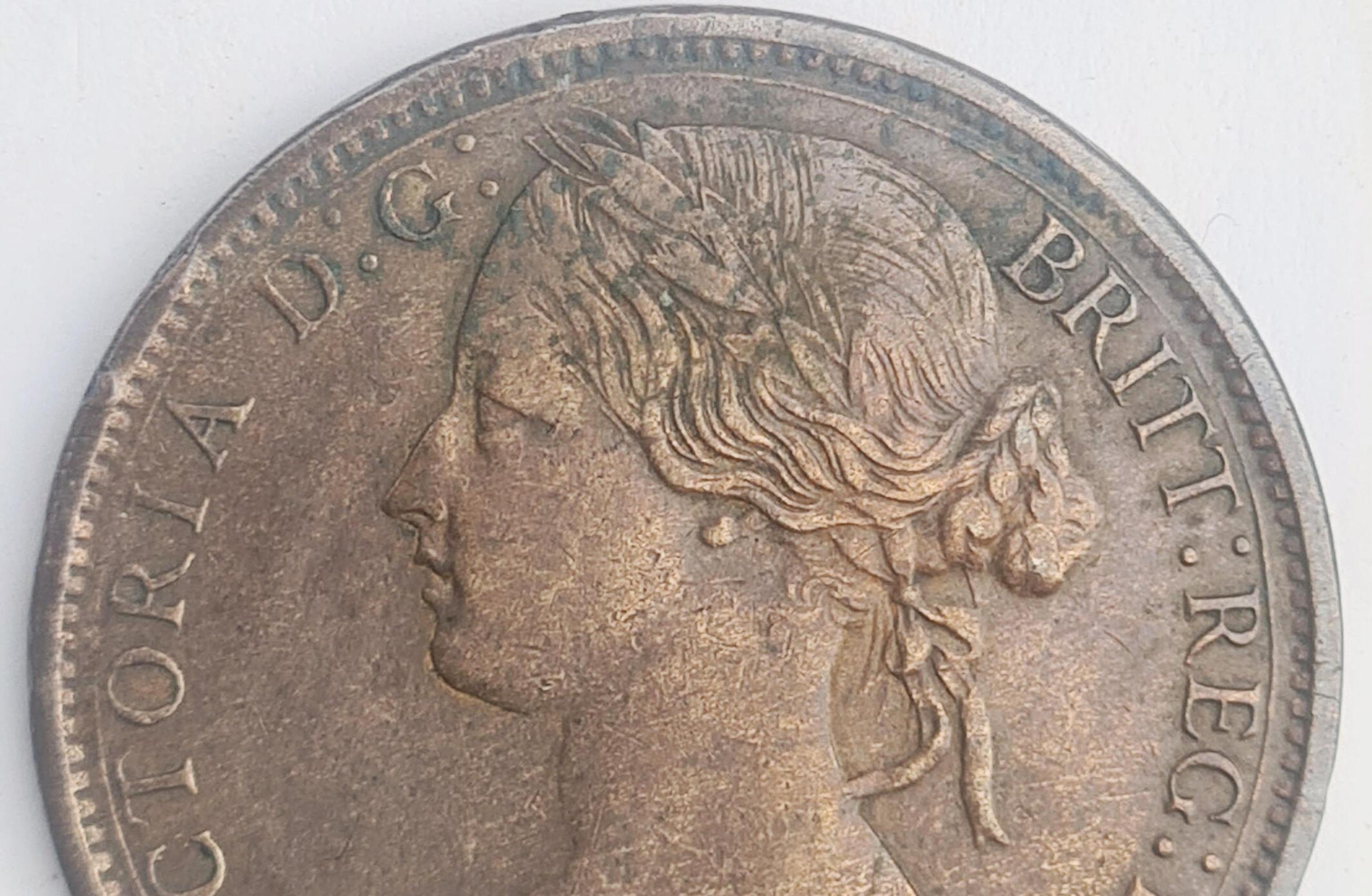 Dollar 1887 More -